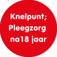 Ben je benieuwd wat we samen met pleeggezinnen deden om de pleegzorg te verbeteren Je leest het op j